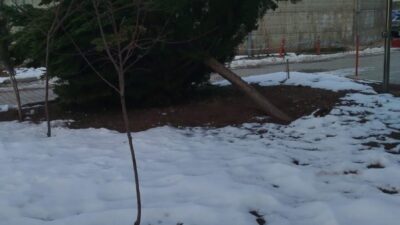 Adıyaman’ın Gölbaşı ilçesinde etkili olan şiddetli rüzgar, hastane bahçesinde bulunan