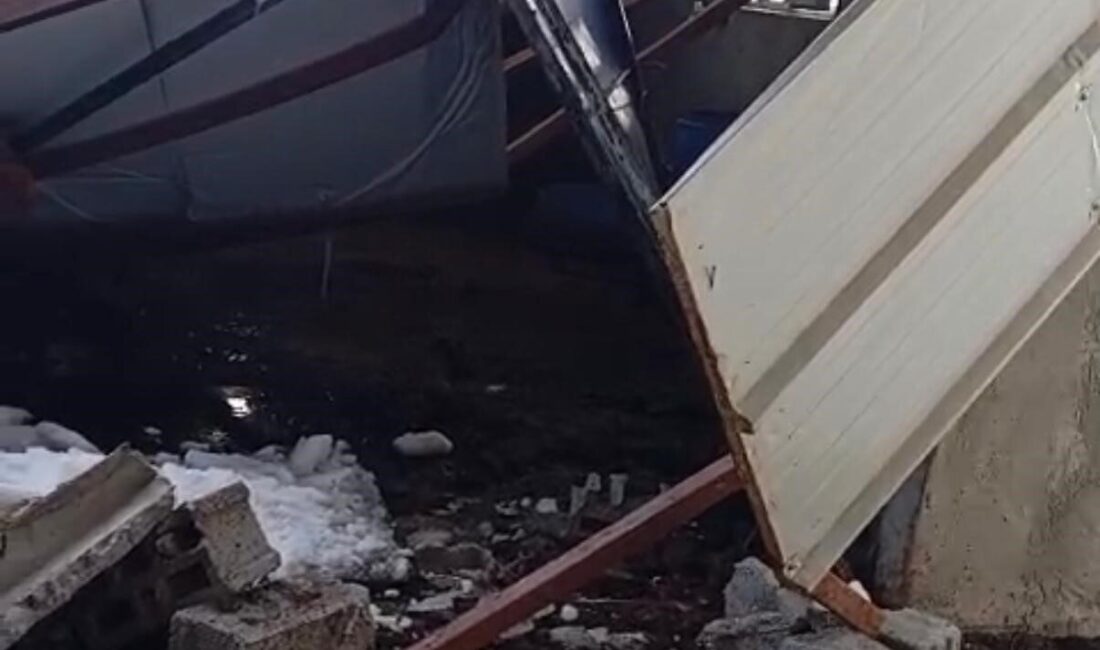 Siirt’in Baykan ilçesinde kar kütlesine dayanamayan hayvan çiftçiliğinin çatısının çökmesi