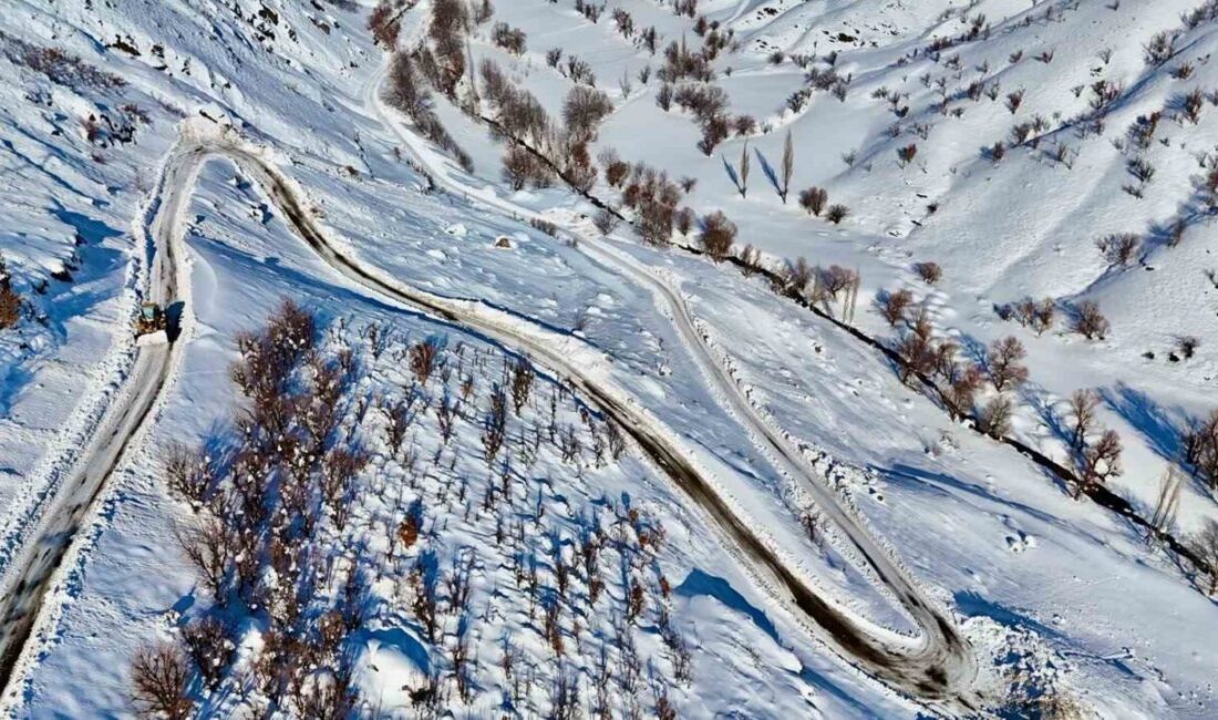 Siirt’in Şirvan ilçesine bağlı Narlıkaya köyü Turgutlu mezrası yoluna düşen