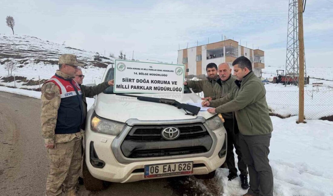 Siirt’in Şirvan ilçesinde avcılık belgesi olmadan, ava kapalı alanda, takozsuz