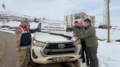 Siirt’in Şirvan ilçesinde avcılık belgesi olmadan, ava kapalı alanda, takozsuz