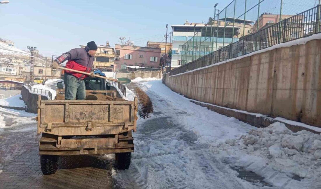 Siirt Belediyesi kent merkezinde karla mücadele çalışmalarını aralıksız sürdürüyor. Valilikten