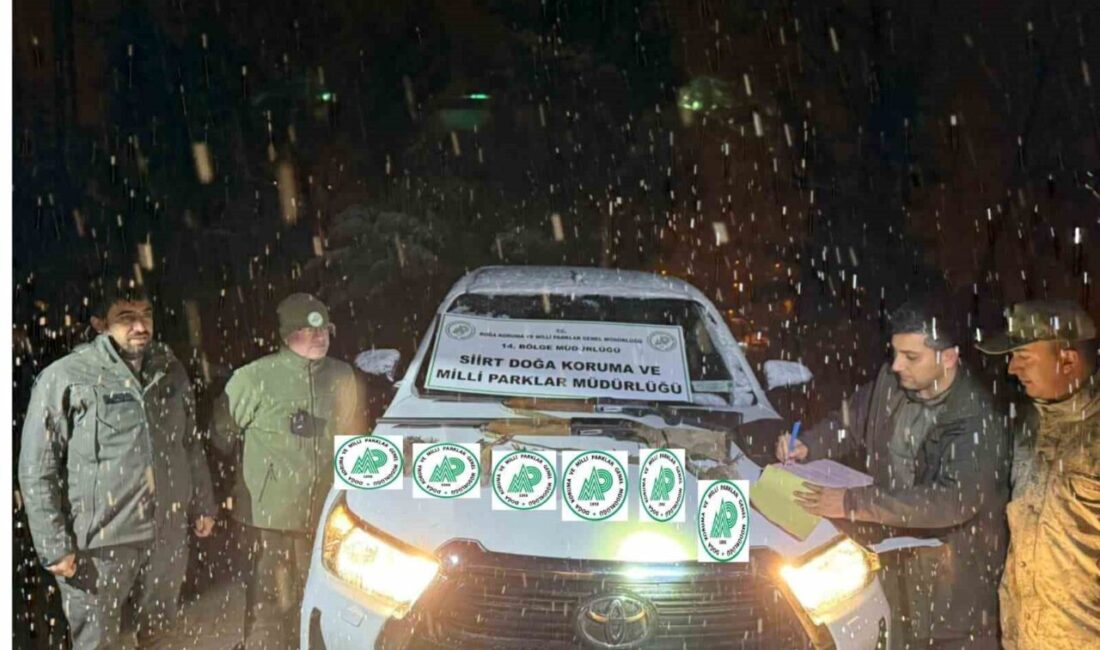 Siirt’te kaçak avcılık faaliyetinde bulunan üç kişiye 68 bin 549