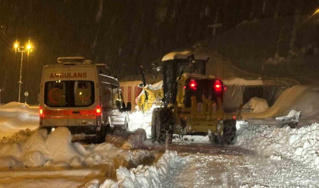 Siirt’te etkili olan yoğun kar yağışına rağmen UMKE ve 112