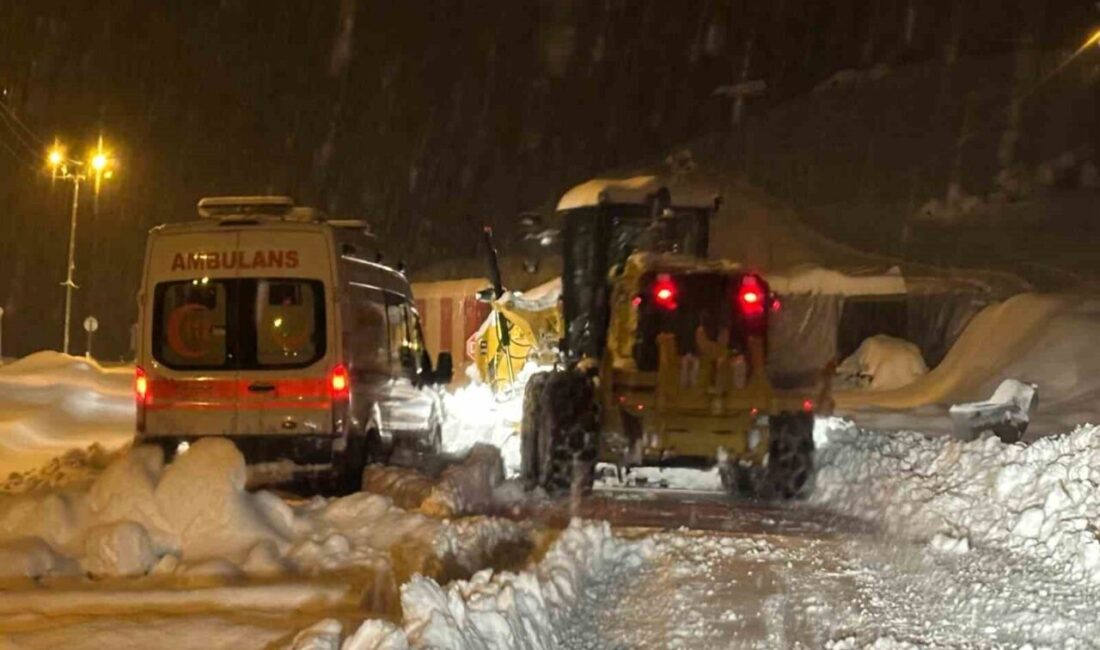 Siirt’in Şirvan ilçesinde yoğun kar yağışı nedeniyle yolda mahsur kalan