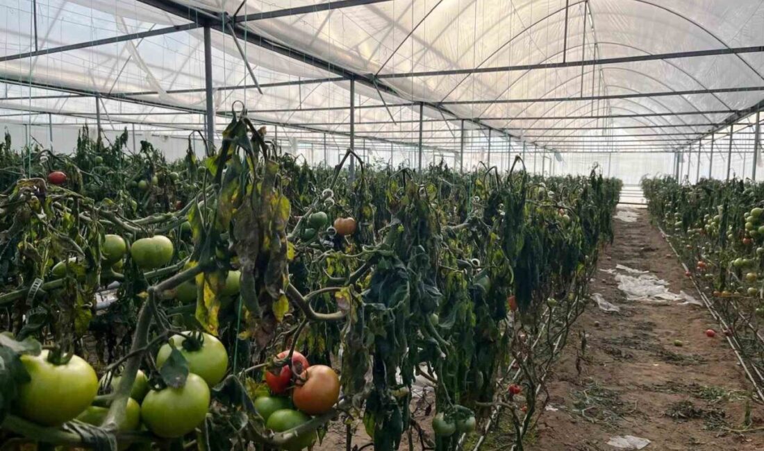 Kütahya’nın Simav ilçesinde hava sıcaklıklarının eksi 15 dereceye kadar düşmesi