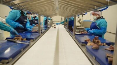 Sinop Valiliği, İl Tarım ve Orman Müdürlüğü’nün yürüttüğü çalışmalar kapsamında