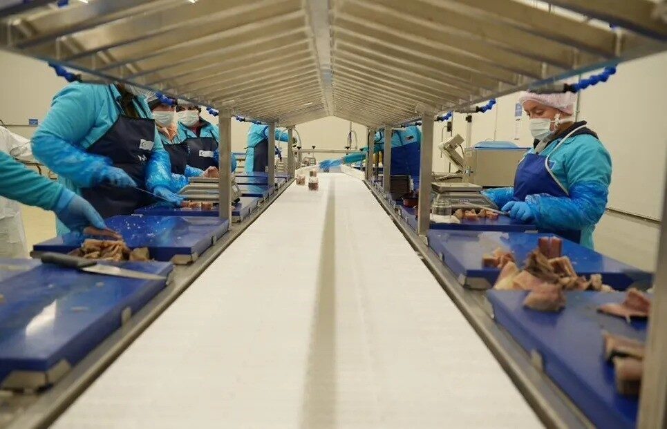 Sinop Valiliği, İl Tarım ve Orman Müdürlüğü’nün yürüttüğü çalışmalar kapsamında