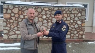 Sinop’ta jandarma ekipleri tarafından devriye sırasında yaralı halde bulunan kuş,