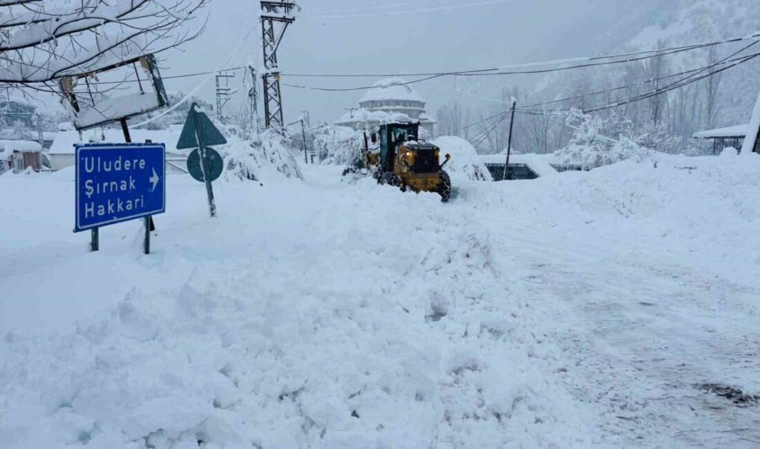 Şırnak’ın Beytüşşebap ilçesinde 2 hastaya ambulanslar yolların kapalı olması nedeni