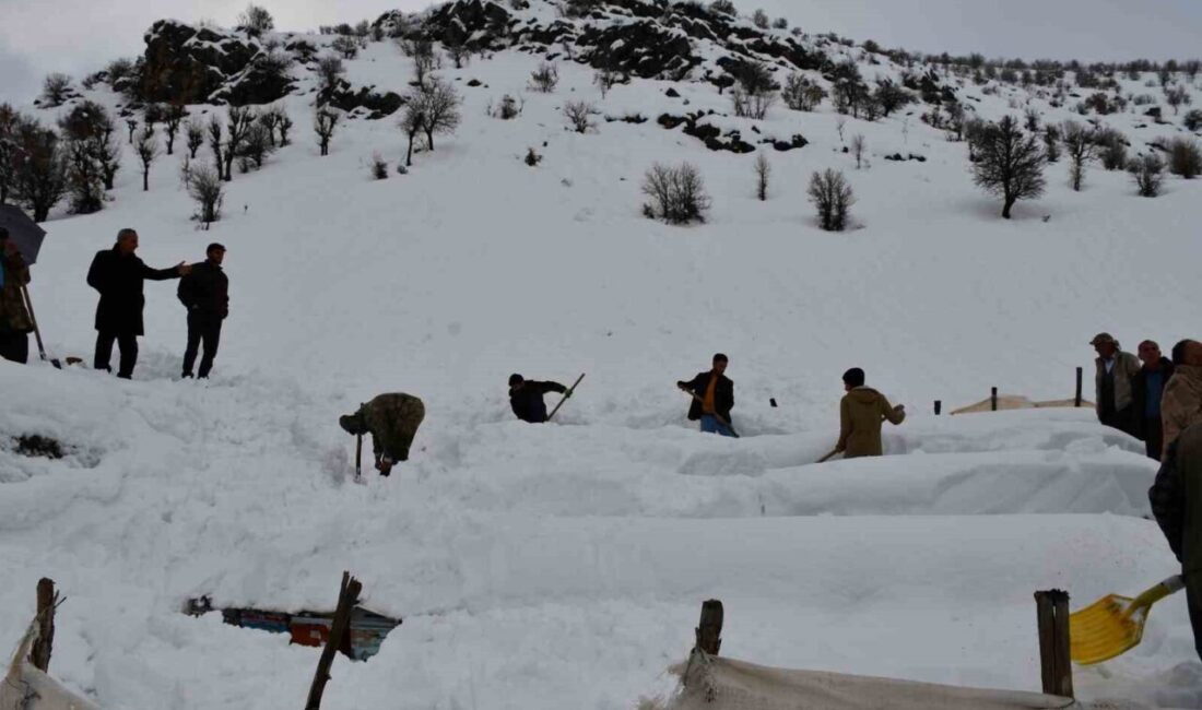 Şırnak’ın Beytüşşebap ilçesinde çığ altında kalan bal arıları, sahibi ve