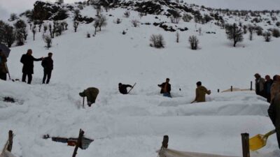 Şırnak’ın Beytüşşebap ilçesinde çığ altında kalan bal arıları, sahibi ve