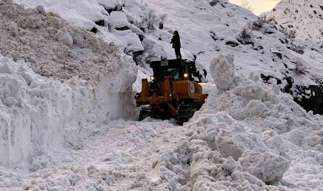 Şırnak’ın Beytüşşebap ilçesinde çığ sonucu kapanan yol ekiplerin çalışmasıyla açıldı.
