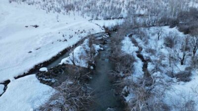 Şırnak’ın Beytüşşebap ilçesinde etkili olan dondurucu soğuklar nedeniyle dereler buz