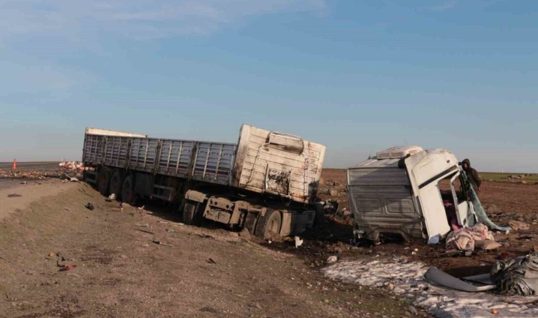 Şırnak’ta Cizre-Nusaybin karayolunda iki tırın çarpışması sonucu meydana gelen trafik