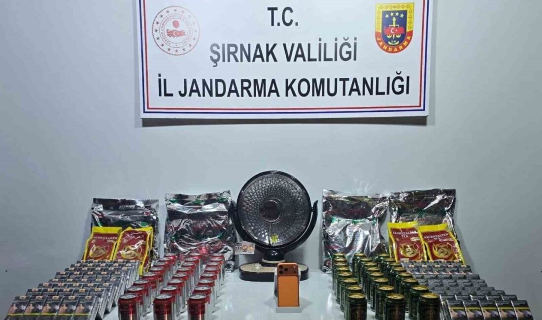 Şırnak İl Jandarma Komutanlığı’na bağlı ekiplerce il genelinde yapılan operasyonlar