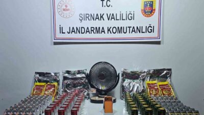 Şırnak İl Jandarma Komutanlığı’na bağlı ekiplerce il genelinde yapılan operasyonlar