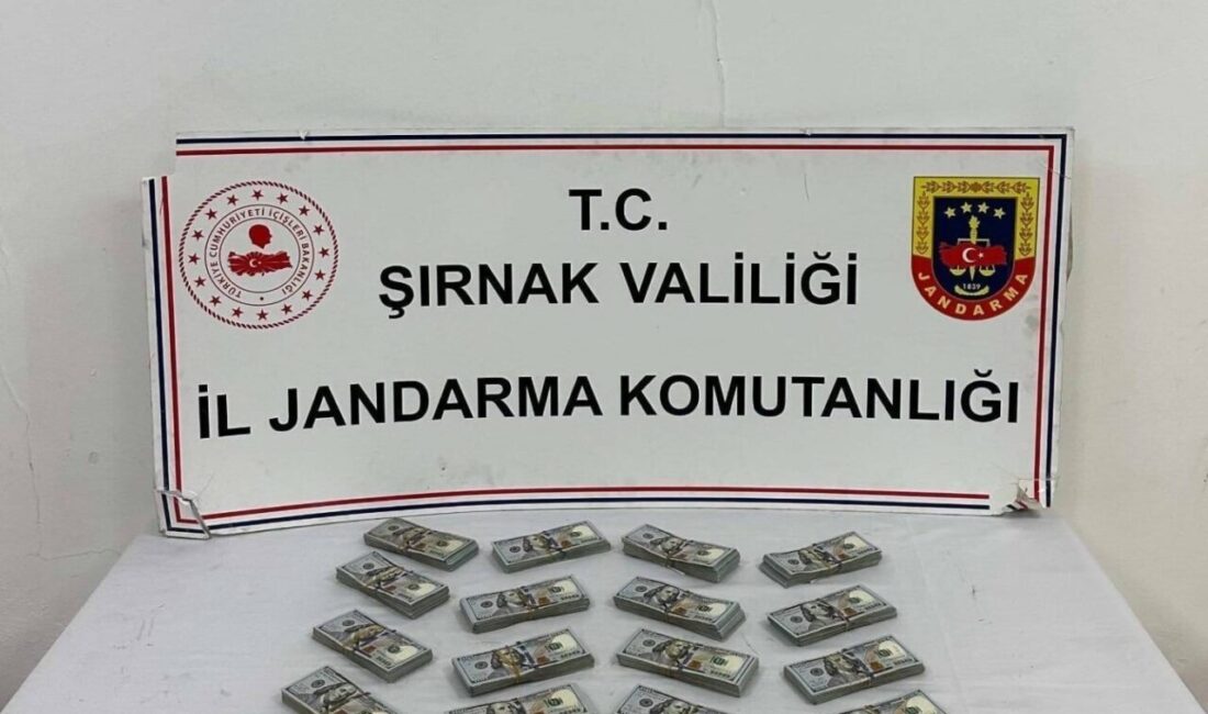 Şırnak İl Jandarma Komutanlığı KOM Şube Müdürlüğü ekiplerince 19-25 Ocak