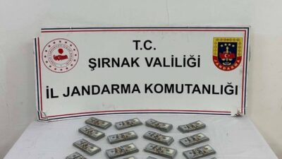 Şırnak İl Jandarma Komutanlığı KOM Şube Müdürlüğü ekiplerince 19-25 Ocak
