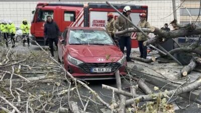 İstanbul’da etkili olan lodos nedeniyle ağaç devrildi. Şişli’de otomobilin üzerine