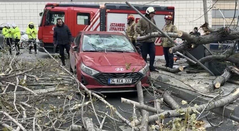İstanbul’da etkili olan lodos nedeniyle ağaç devrildi. Şişli’de otomobilin üzerine
