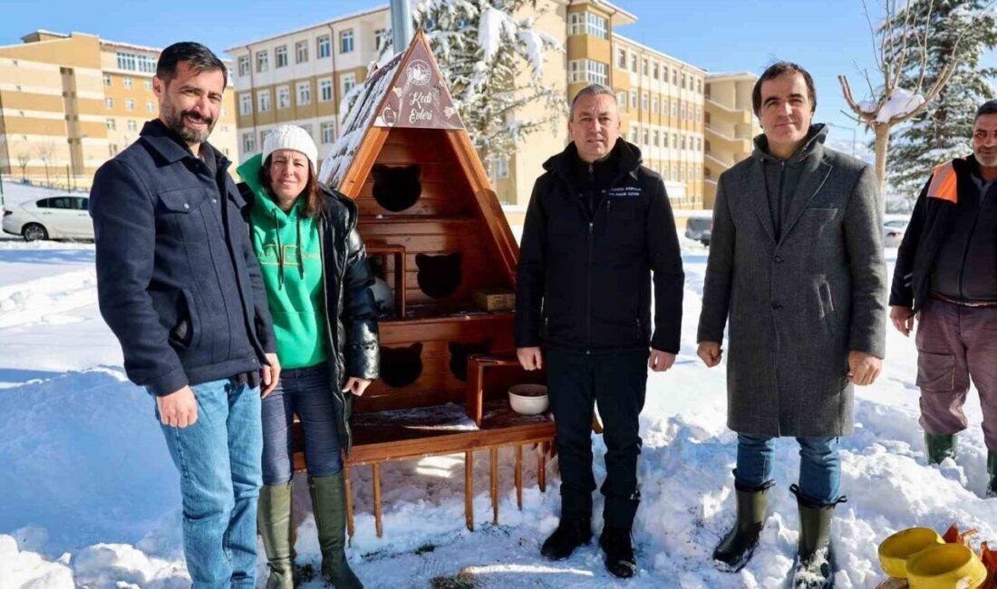Sivas Belediyesi, kış aylarında sokak hayvanlarının olumsuz hava şartlarından daha