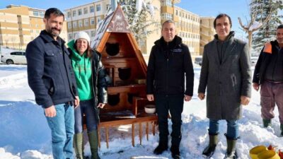 Sivas Belediyesi, kış aylarında sokak hayvanlarının olumsuz hava şartlarından daha