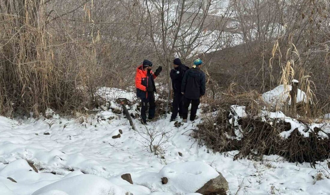 Diyarbakır’ın Çınar ilçesinde evden çıkan ve kendisinden bir daha haber