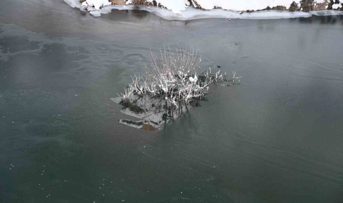 Şırnak’ta Habur Çayı’nın bir kısmı soğuk havanın etkisiyle dondu. Beytüşşebap