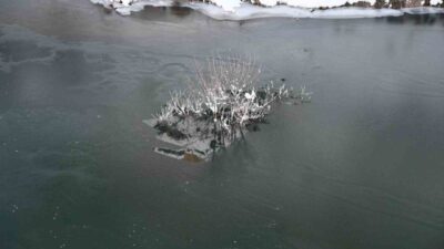 Şırnak’ta Habur Çayı’nın bir kısmı soğuk havanın etkisiyle dondu. Beytüşşebap
