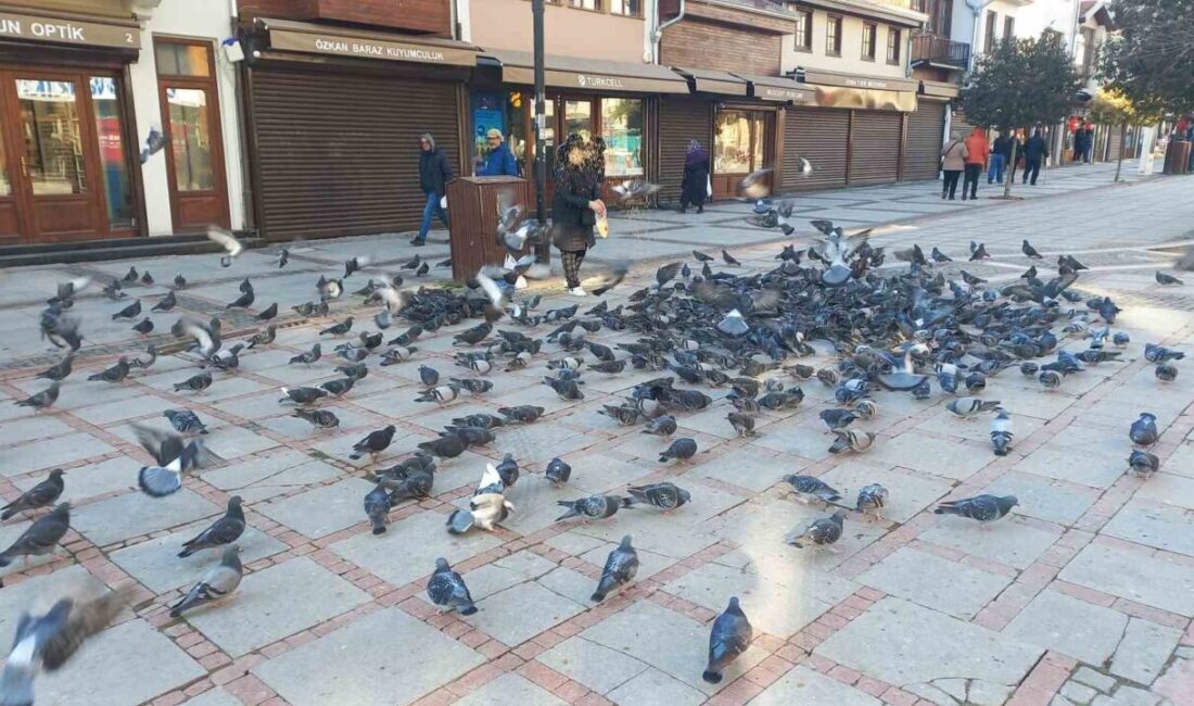 Edirne’nin en işlek noktalarından Saraçlar Caddesi’nde güvercinleri besleyen 63 yaşındaki