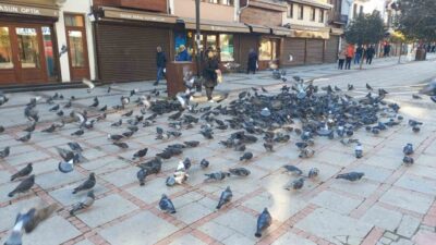 Edirne’nin en işlek noktalarından Saraçlar Caddesi’nde güvercinleri besleyen 63 yaşındaki