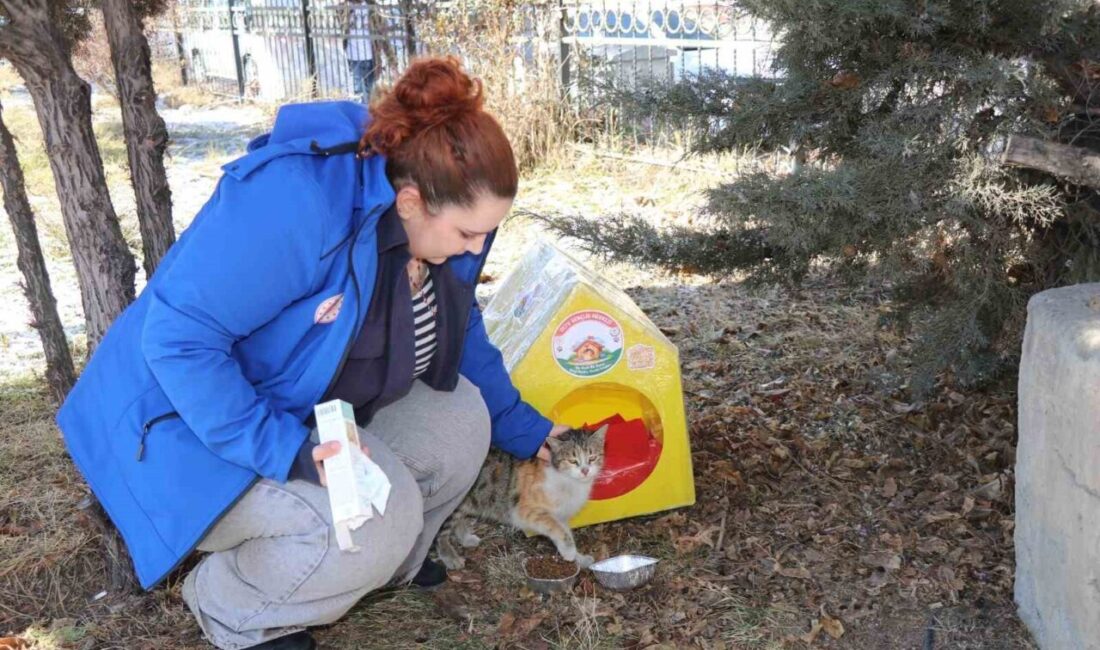 Doğu Anadolu Bölgesi’ni etkisi altına alan soğuk hava şartları nedeniyle