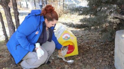 Doğu Anadolu Bölgesi’ni etkisi altına alan soğuk hava şartları nedeniyle