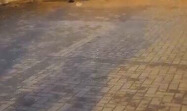 Bursa’nın Osmangazi ilçesinde 2 genç, sokak ortasındaki kavgada çakıyla birbirlerini