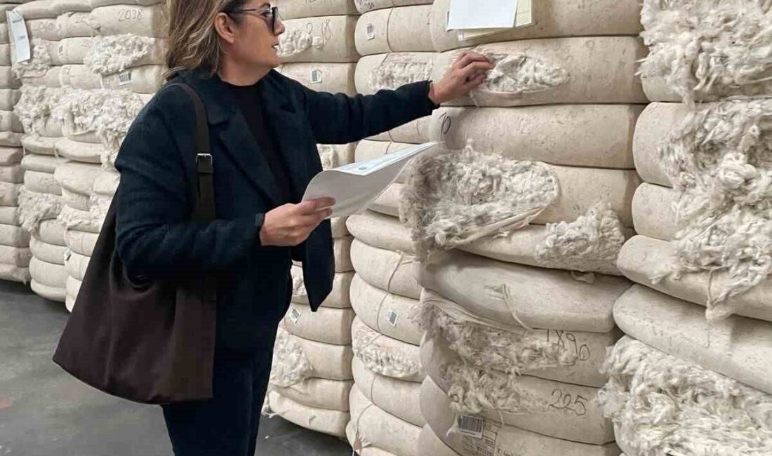 Aydın’ın Söke ilçesinde 2025 yılında 42 farklı ülkeye toplam 49