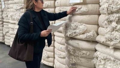 Aydın’ın Söke ilçesinde 2025 yılında 42 farklı ülkeye toplam 49