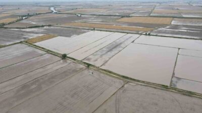 Söke’de 2026 Üretim Yılı ÇKS ürün beyanları açıklanırken, ilçede buğday,