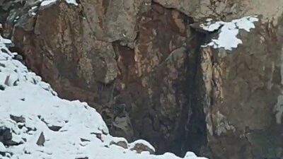 Erzurum’un İspir ilçesi Çamlıkaya Mahallesi Ortabag mevkiinde bulunan Arban Elektrik