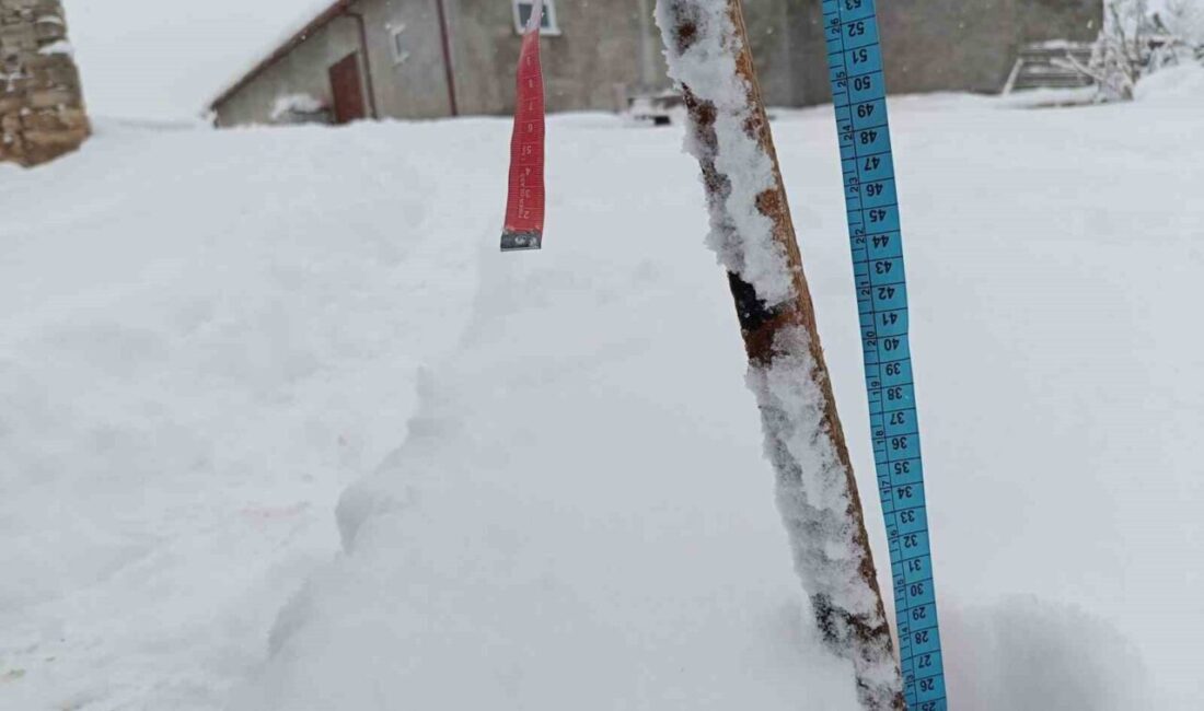 Eskişehir’in Seyitgazi ilçesine bağlı Şükranlı Mahallesi’nde etkili olan ve kalındığı