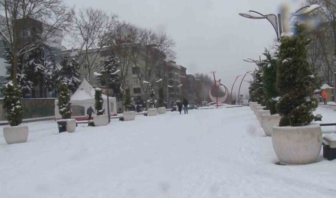 İstanbul’un Sultangazi ilçesinde etkili olan kar yağışının ardından sokağa çıkan