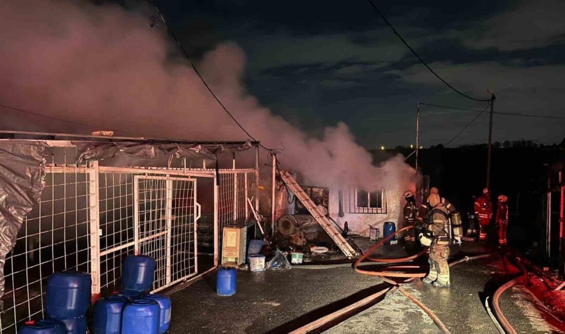 İstanbul Sultangazi’de halı yıkama ve marangoz olarak kullanılan iki iş
