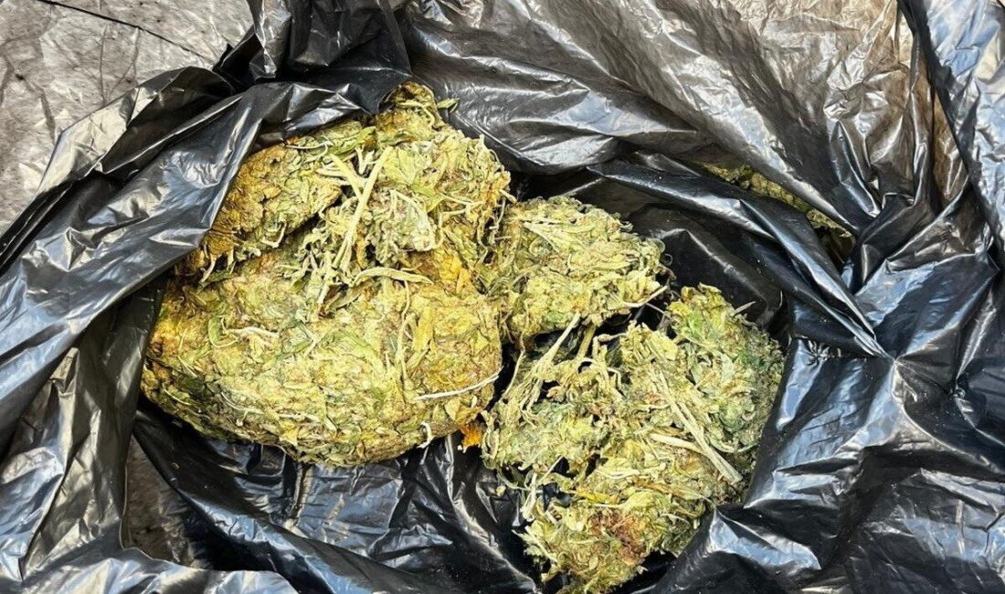 Manisa’nın Salihli ilçesinde polis ekiplerince durdurulan bir araçta yapılan aramada