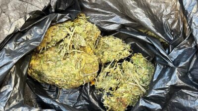 Manisa’nın Salihli ilçesinde polis ekiplerince durdurulan bir araçta yapılan aramada