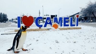 Son günlere sosyal medya üzerinde hızla yayılan Nihilist penguen akımına