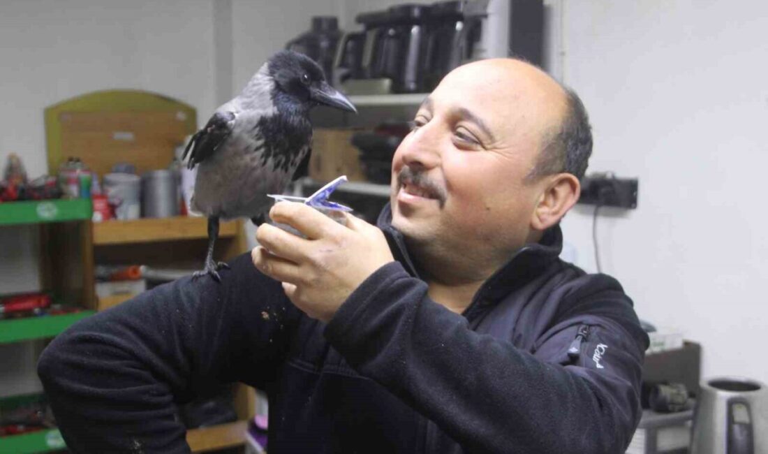 Ordu’da beyaz eşya teknik servisi yapan Serdar Hekim, yaralı olarak