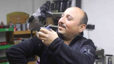 Ordu’da beyaz eşya teknik servisi yapan Serdar Hekim, yaralı olarak