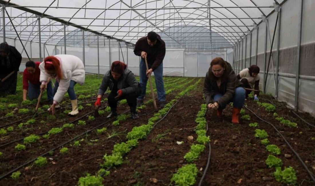 Kocaeli’de Tarım Akademisi ile tarıma yeni bir soluk getiriliyor. Gençler