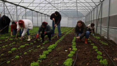 Kocaeli’de Tarım Akademisi ile tarıma yeni bir soluk getiriliyor. Gençler