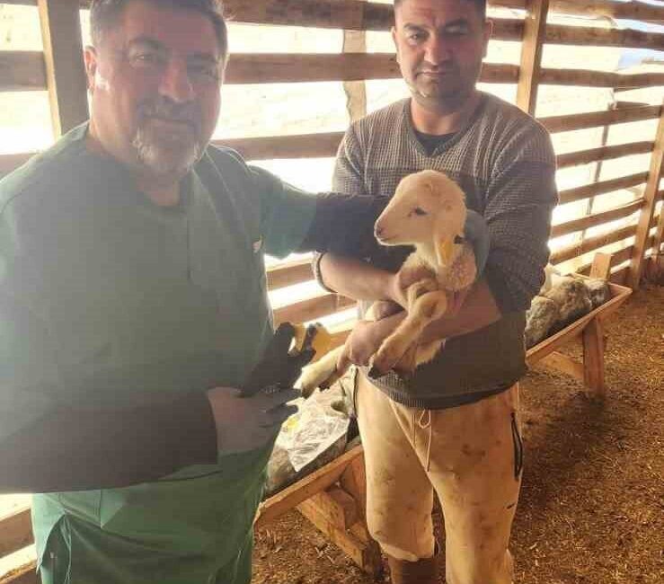 Söke İlçe Tarım ve Orman Müdürlüğü ekipleri tarafından Sazlı Mahallesi’nde